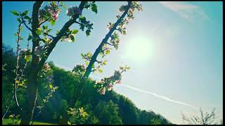 Relaxing music good for health