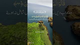 Surah mudassir #islamicstatus #urdu #deenreminder #trustallah #deenvibes #allahloves