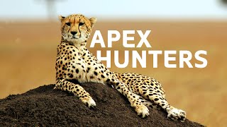 Predator VS Prey: Life And Death In The African Wilderness