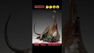 Sculpture Photo | photography | best from West | diy | #photography #bestphotochallenge #sculpture