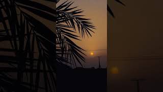 আল্লাহ ছাড়া দুনিয়াতে কেও নাই