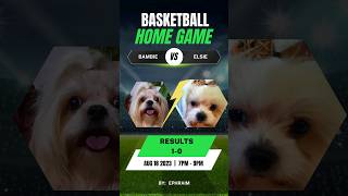 Dogs Playing Basketball