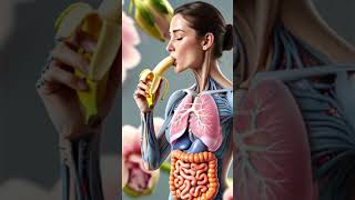 Inside the Human Body - Science in Motion#humanbody  #3danimation #digestivesystem