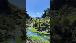 Peaceful Place | #travel #scenicbeauty #nature #foryou #viralvideos #shortvideos