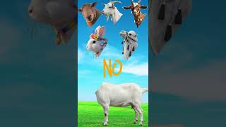 #cow#cartoon#comedy#viralvideo#trending#100millionviews#views_viral_video_subscribers_grow #shorts