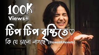 Tomake Chere Ami_Lofi_(তোমাকে ছেড়ে আমি) [Slowed+Reverb] Habib Wahid | Copy Music_2023_✿︎🦋