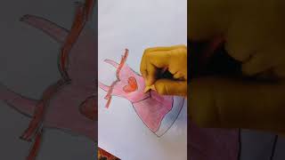 Doll dress drawing 🥰 #ytshorts #shorts #viral #anime #boidesh # trending