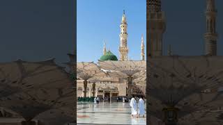 main Ghulame Mustafa hoon #love #unfrezzmyaccount #madinekibaatein  #1million #beautiful #shortsfeed