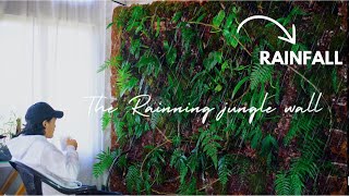 i Turned My Wall into A Rainning Terrarium