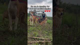 Help with anything you can donate via the PayPal #andyshouse #rescueme #savingeliza #freethem
