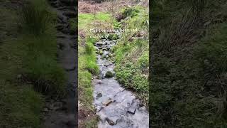#thesecrettohappiness #getoutside #gooutdoors #nature #naturelovers #waterfall #slowliving