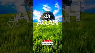 Allah hu Akbar #allhamdulillah #instagram #islamic #trending