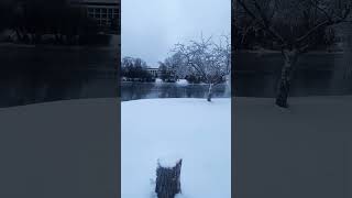 #finland ❄️⛄️