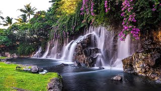 心臓と血管の癒しの音楽-穏やかな音楽、神経系を落ち着かせてください