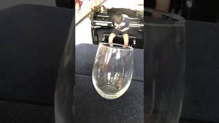 What an hour long trick shot looks like at 80 times speed.