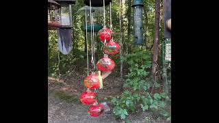 Charming Wind Chimes Hummingbird feeders