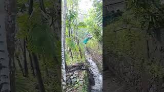 #streamlove #aquaphile #nadhiyenadhiye #curvesofnature #biophilic #solace #tamilbgm
