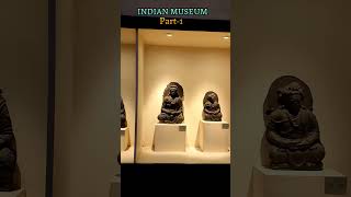 Indian Museum (Kolkata) | Part - 1 #kolkata #viral #trending #indianmuseum  @satrong2920