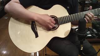 Stephen Strahm Guitars - EROS Amazon Rosewood