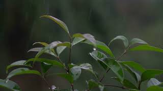 Healing Piano Rain Sounds for Sleep, Meditation, and Inner Peace