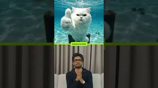 293M Views with AI Animal Videos 🦁🐶🐱 #contentcreation #viralvideos #animalvideos #aicontent #ai