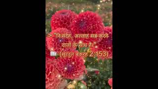 🌸"sabr करो,अल्लाह तुम्हारे साथ है"🕌🕒