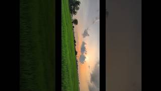 #abcdefghijklmnopqrstuvwxyz #gayle #gayleabcdefulyrics #viral #naturephotography #reelsvideo #fyp