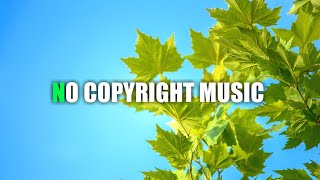 free background music for youtube videos || vlog background music non copyrighted || #vlogmusic
