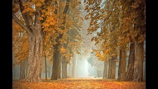 RELAXING SLEEP MUSIC, SLEEP MEDIDATION 1