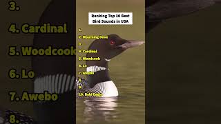 Ranking top 10 best bird sounds in USA #birds #birdsounds