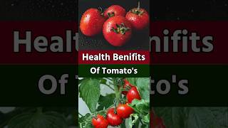 Benifits of tomato | health Benifits of tomato | Tomato fruits | Tomato fruits benifits#tomato