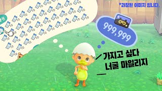 너굴 마일리지 얻는법 6가지 간단소개 -모동린이를 위한 공략