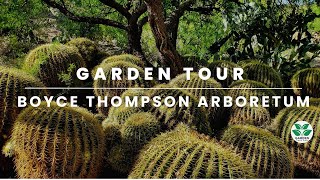 Exploring Arizona's Oldest and Largest Botanical Garden: Boyce Thompson Arboretum