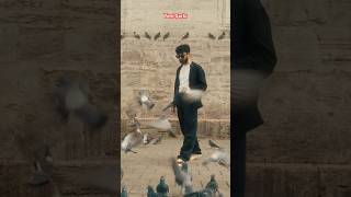 Yollar Uzun Ömür Kısa , Gelen belli giden yasta 🌐🕊️ #kadr #istanbul