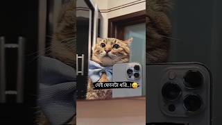 😀🥴 fanny status video 😀 #fannycomedy #whatsappstatus #bd_sm_studio #banglastatusvideo