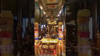 Golden Buddha 🙏 In Cambodia short video ❤ #shorts #goldenbuddha