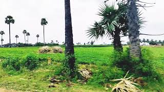 Bike ride on village road 1