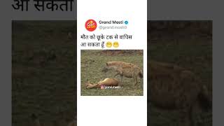 #viralvideo #shortvideo #comedy