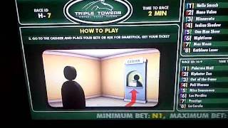 Triple Towers Virtual Horse and Greyhound Racing - Melcom Copeland eGaming Consultant