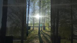 #srilankanvlogger #trending