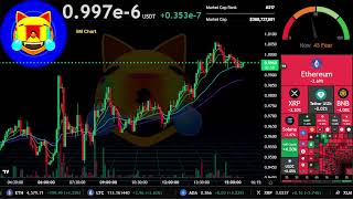 $MOG | 24/7 Live Stream | MOG USDT Signals & Charts | Meme Coin Hype | Mog Coin Crypto Price 🔥