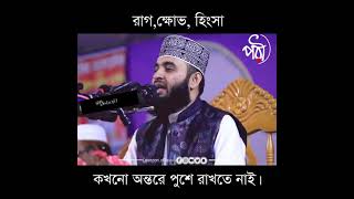 রাগ, ক্ষোভ, হিংসা নিজের মধ্যে পুষে রাখবেন না। বক্তাঃ মিজানুর রহমান আযহারী