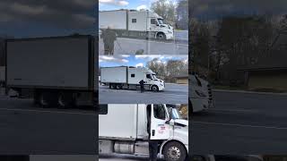 ENJOY TRUCKING WITH DOGS🚚🐕 Follow The Fleet Owner @alialidina #alialidina #examtransport