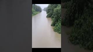 বন্যার পরিস্থিতি খবর
