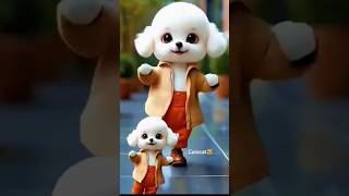 Cutecat😻 #catshorts #ytshorts #catlover #cutecat #catfunny #shorts #videolover😀