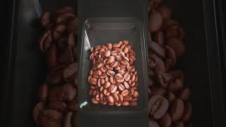 Goodbye beans