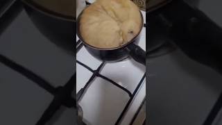 🐾 Fat Cat Cuteness Overload!#FatCat #FunnyCat #CatShorts #CuteCats #LazyCat #CatLovers #AnimalShorts