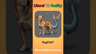 Top Literal vs Real Meaning of English Compound Words | 034