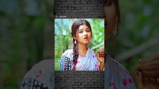Kothai Gale Pabu Tore | #tiktoktrendingsong #banglasadsong #shortsvideo Rr Roseto ❤️
