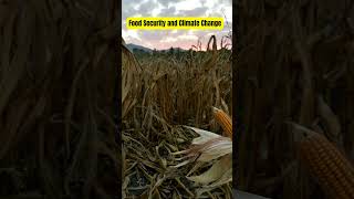 🍽️ Food Security in a Warming World 🌍 #climatechange